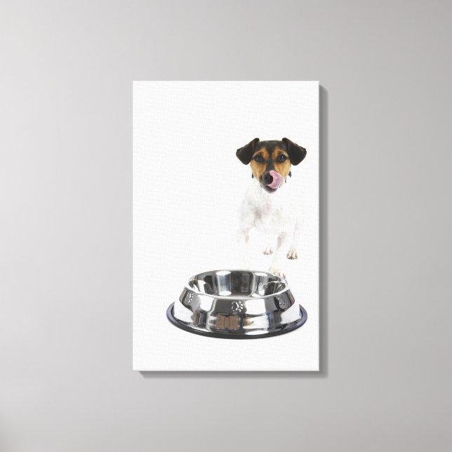 Hund mit großer Schüssel Leinwanddruck (Vorderseite)