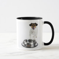 Hund mit großer Schüssel