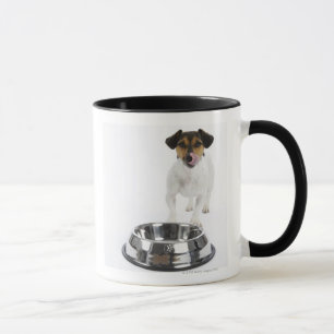 Hund mit großer Schüssel Tasse