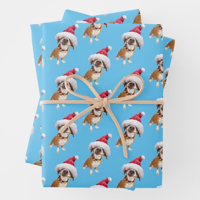 Hund mit großer Weihnachtsmannmütze Geschenkpapier Set (Beispiel)