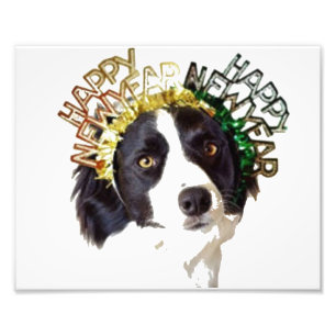 Hund mit Happy New Years Hut Fotodruck