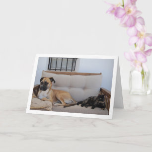 Hund mit Katze auf Bank Karte