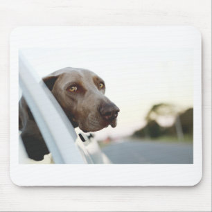 Hund mit Kopf aus einem Autofenster Mousepad