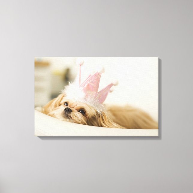 Hund mit Krone Leinwanddruck (Vorderseite)