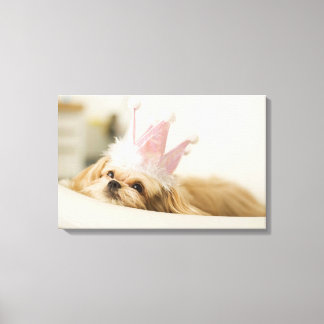Hund mit Krone Leinwanddruck