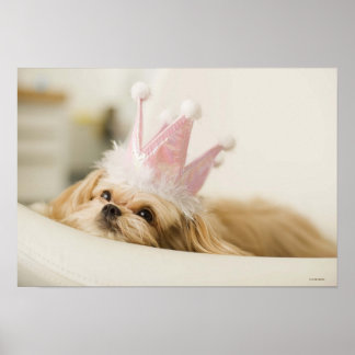 Hund mit Krone Poster