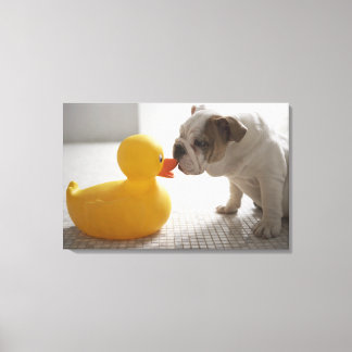 Hund mit Kunststoffente Leinwanddruck