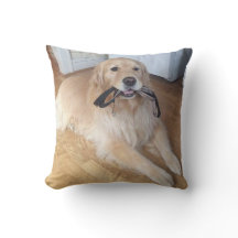Hund mit Leine