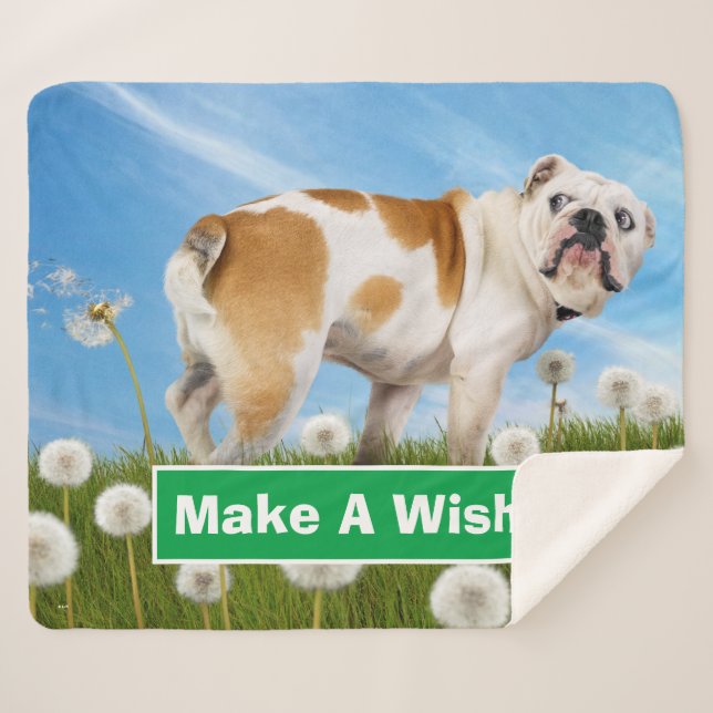 Hund mit Lüster Sherpadecke (Vorderseite (Horizontal))