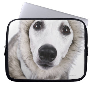 Hund mit Pelzmantel, Studio-Shot Laptopschutzhülle