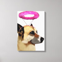 Hund mit rosa Halo