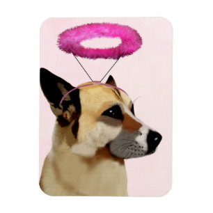 Hund mit rosa Halo Magnet