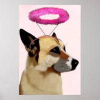 Hund mit rosa Halo