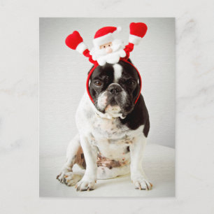 Hund mit santa-Headband Feiertagspostkarte