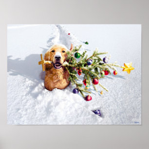 Hund mit Schnee Poster