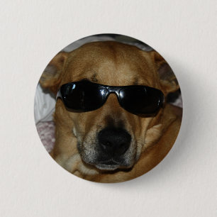 Hund mit Sonnenbrille Button