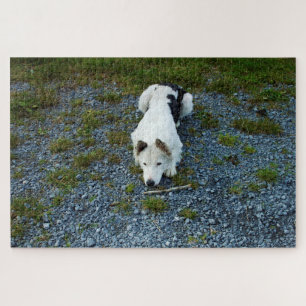 Hund mit Stock Puzzle
