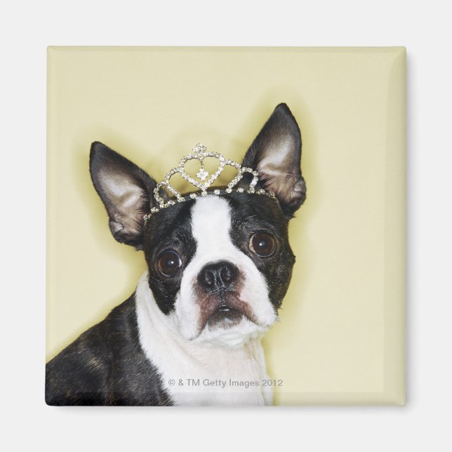 Hund mit Tiara Magnet (Vorne)