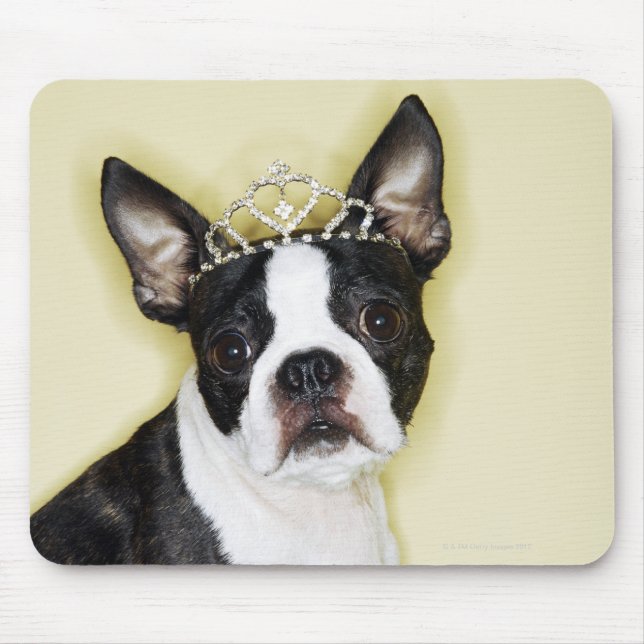 Hund mit Tiara Mousepad (Vorne)