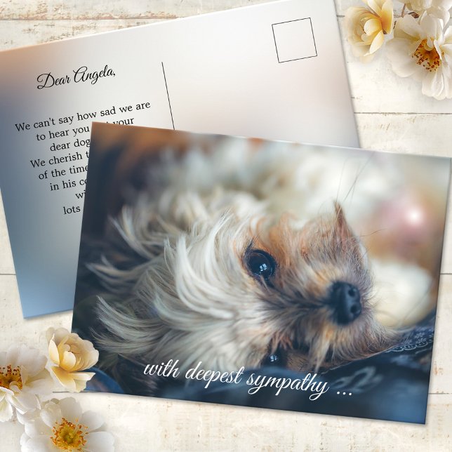 Hund Mitgefühl Postkarte (Postcard featuring an image of a dog in a dreamy light. Use a custom photo for sympathy greetings)