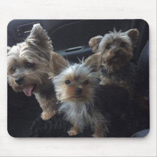 Hund Mousepad