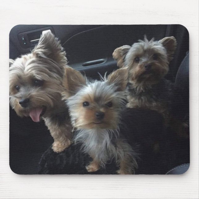 Hund Mousepad (Vorne)