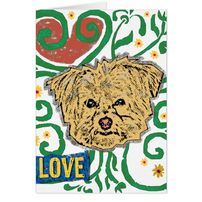 HUND: Multi-Poo Garten der Liebe mit Blumen (Vorne)