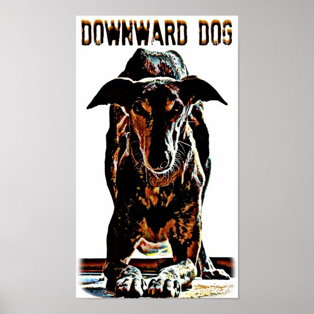 Hund nach unten poster (Vorne)