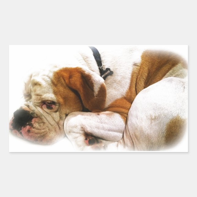 Hund nach unten rechteckiger aufkleber (Vorderseite)