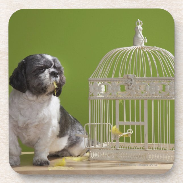 Hund nah an einem Vogelkäfig Getränkeuntersetzer (Vorderseite)