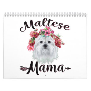 Hund Niedliche maltesische Mama Hund Blume Floren Kalender