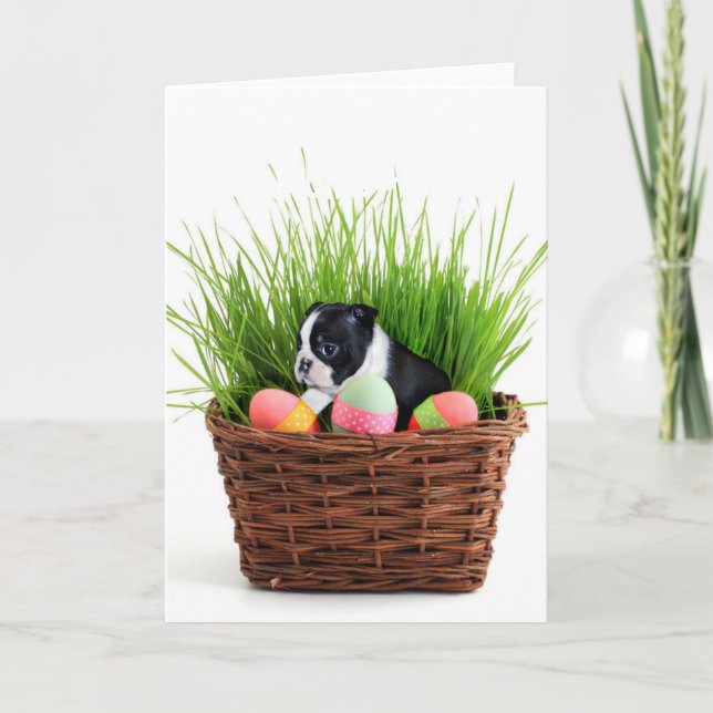 Hund Ostern Boston Terrier Feiertagskarte (Vorderseite)