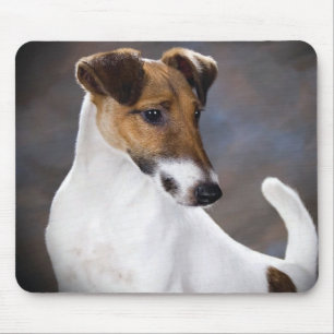Hund Pastor-Russells Terrier Mousepad