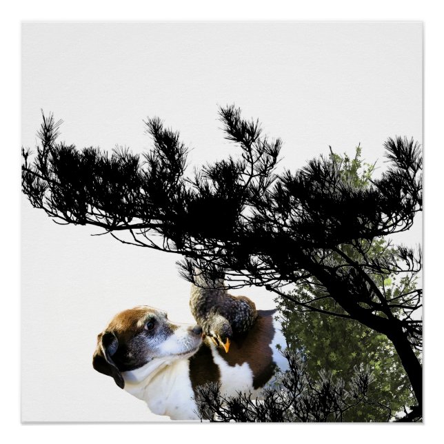 Hund Poster (Vorderseite)