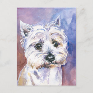 Hund Postkarte