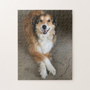 Hund Puzzle