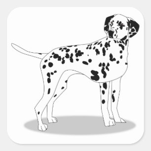 Hund Quadratischer Aufkleber