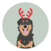 Hund Reindeer Happy Pawlidays