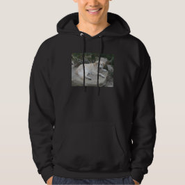 Hund ruht auf einem Felsen Hoodie