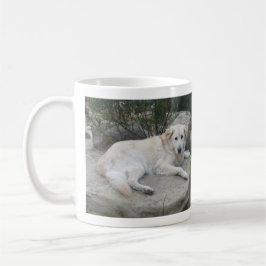 Hund ruht auf einem Felsen Kaffeetasse