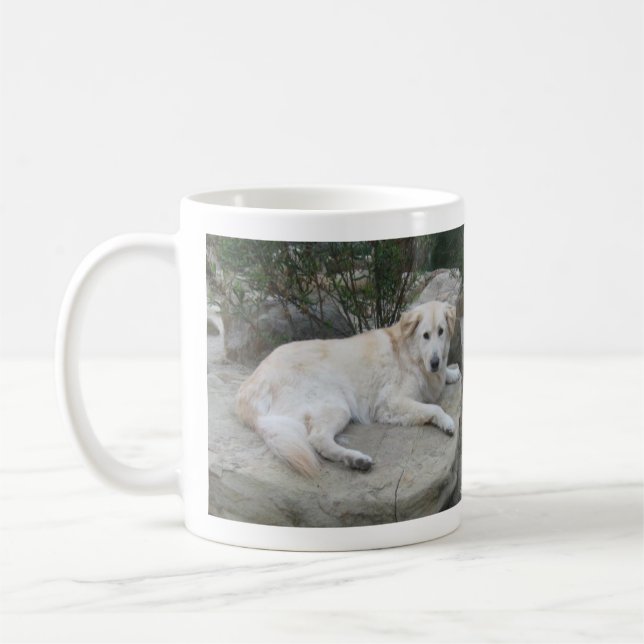 Hund ruht auf einem Felsen Kaffeetasse (Links)