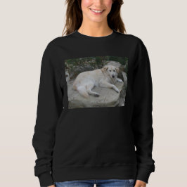 Hund ruht auf einem Felsen Sweatshirt