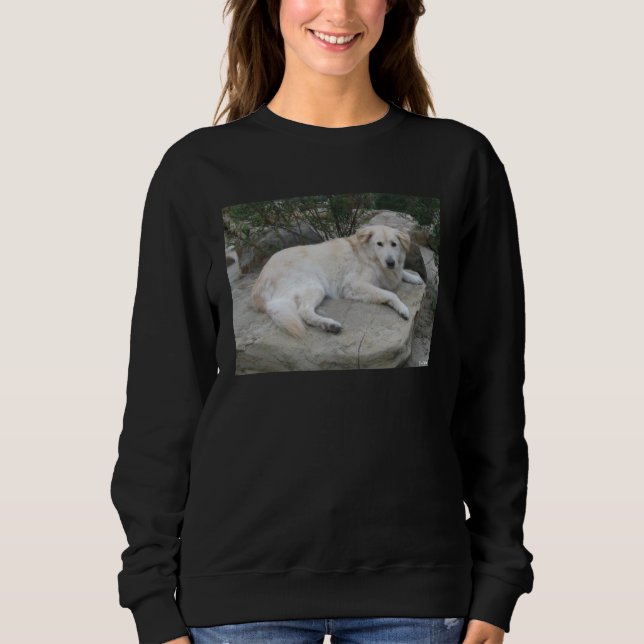 Hund ruht auf einem Felsen Sweatshirt (Vorderseite)