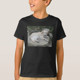 Hund ruht auf einem Felsen T-Shirt