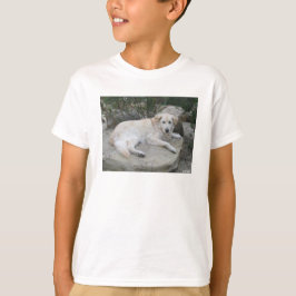 Hund ruht auf einem Felsen T-Shirt