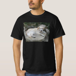 Hund ruht auf einem Felsen T-Shirt