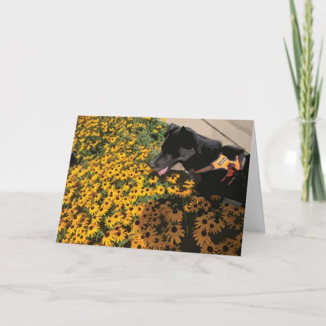Hund schauen Blume Schwarze Augen Susan Daisy Karte (Vorderseite)