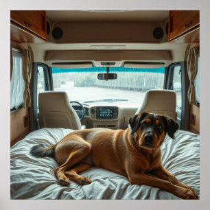 Hund schläft im gemütlichen Wohnmobil-Innenraum Poster
