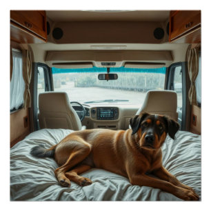Hund schläft im gemütlichen Wohnmobil-Innenraum Poster