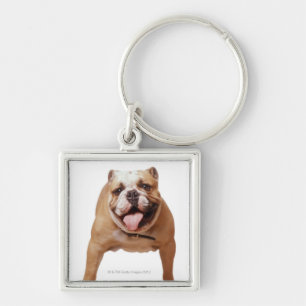, Hund Schlüsselanhänger